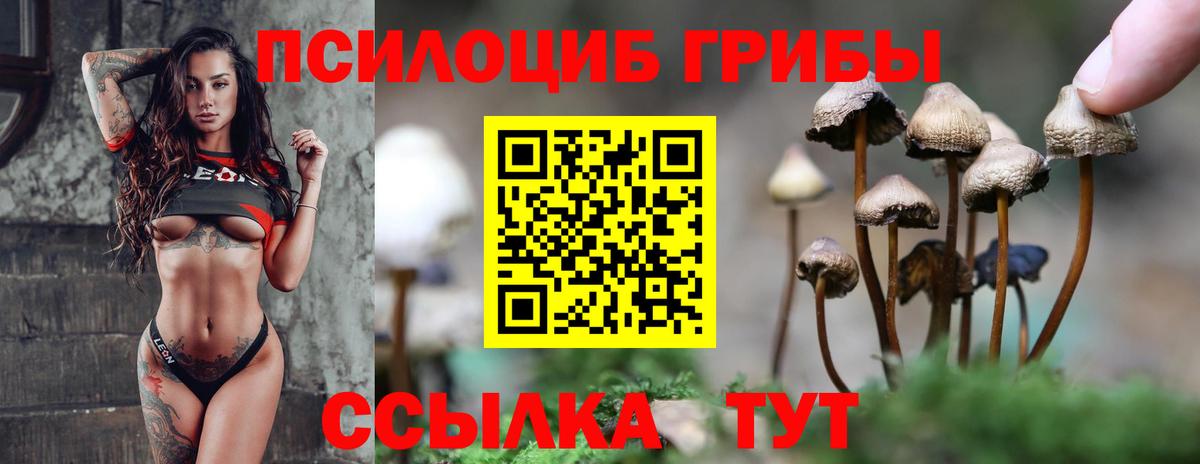 Псилоцибиновые грибы Psilocybe Сергиев Посад